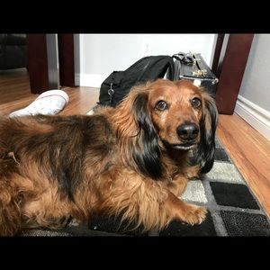 Meet your Posher, Natalie